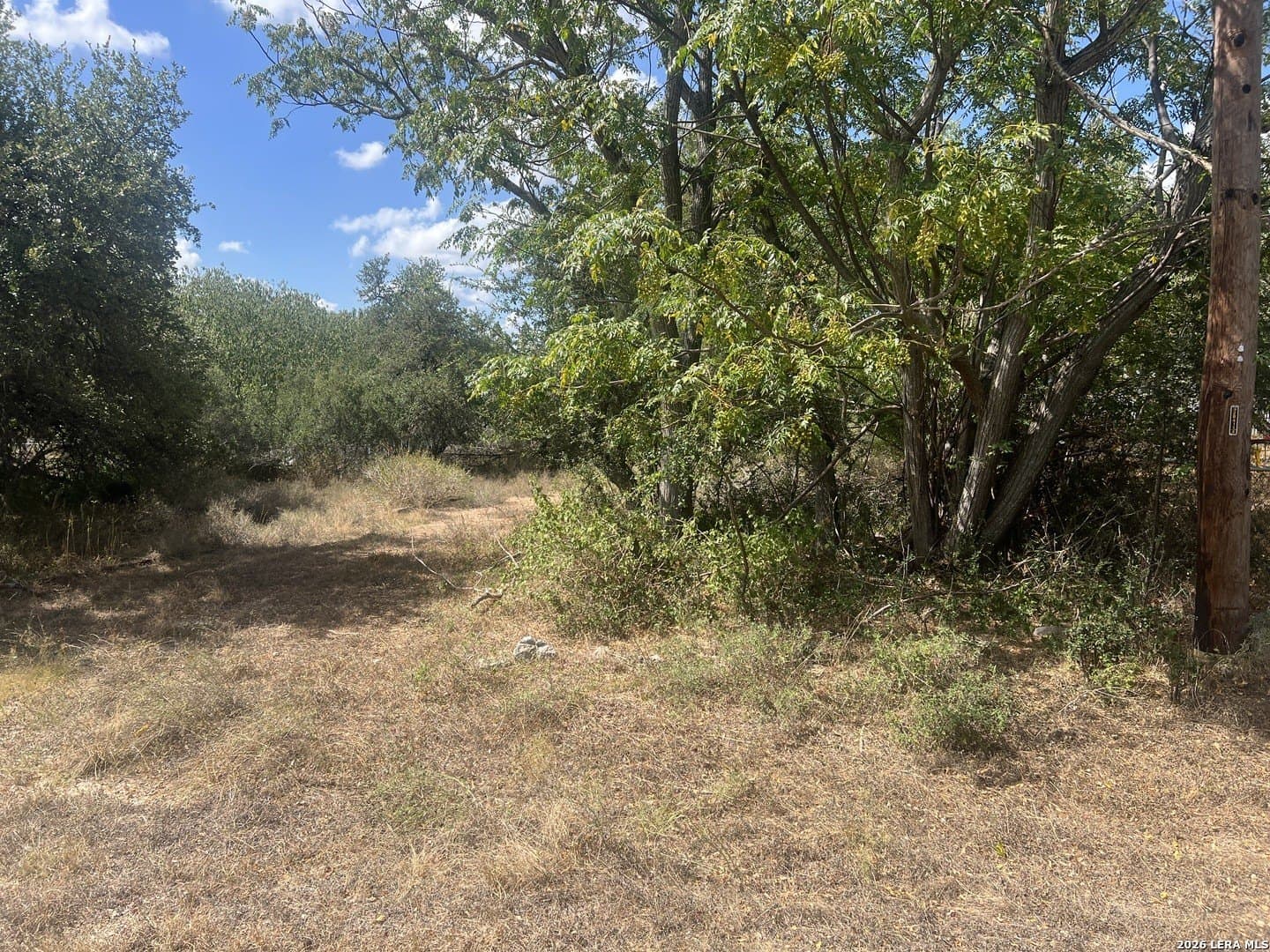 0.46 acres in Comal County - photo 8