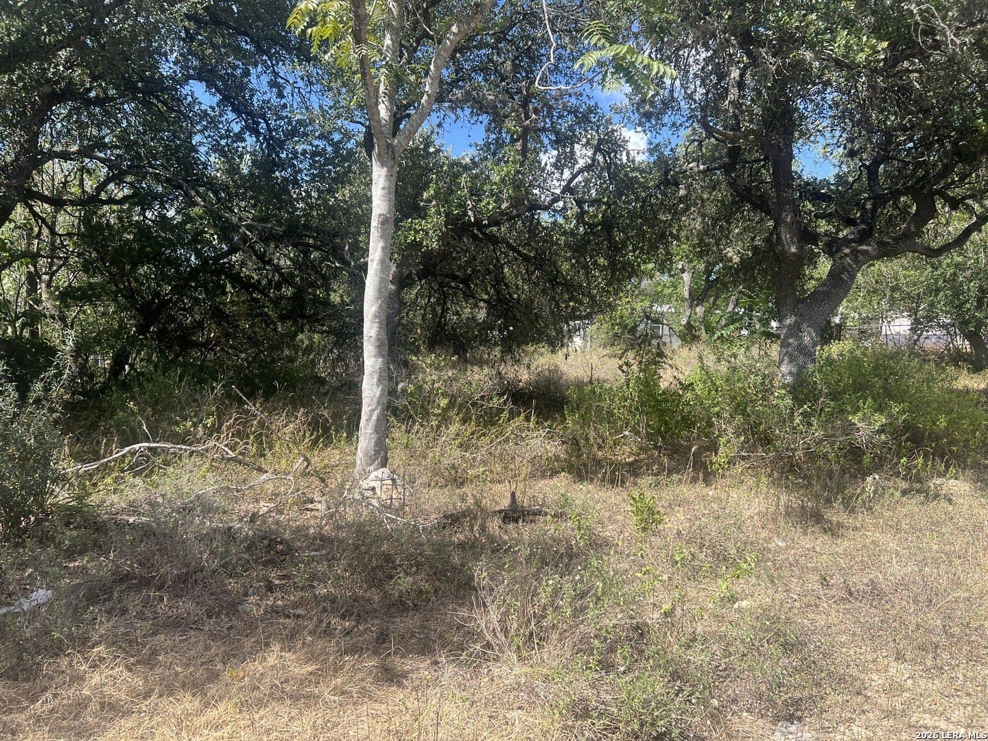 0.46 acres in Comal County - photo 2