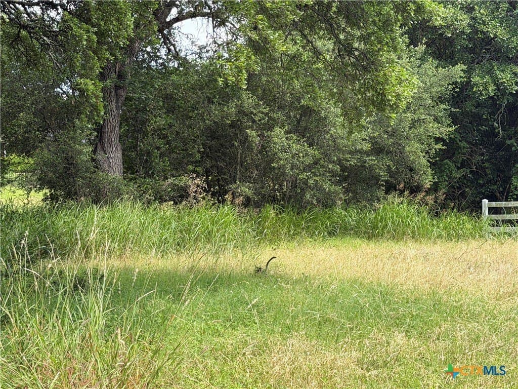1.2 acres in Bell County - photo 12