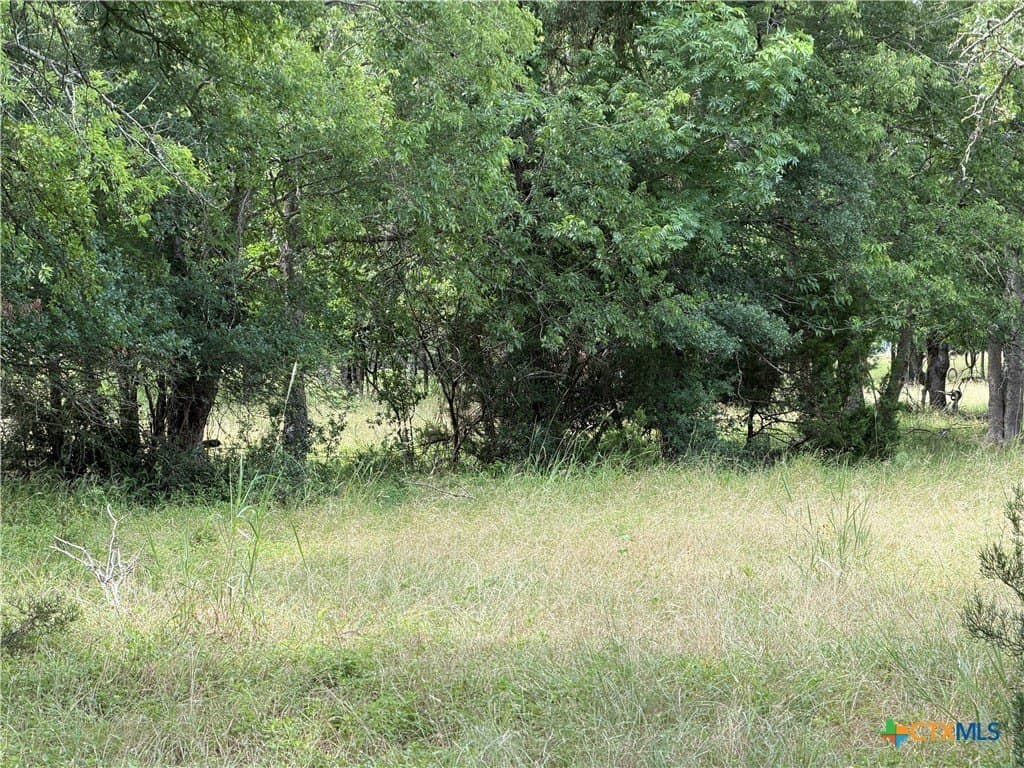 1.2 acres in Bell County - photo 16