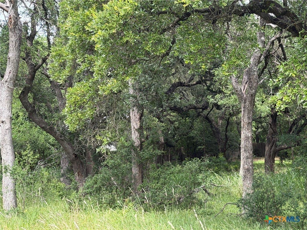 1.2 acres in Bell County - photo 7