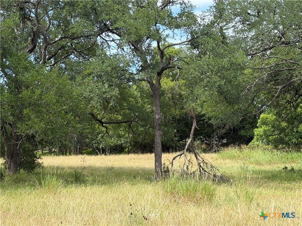 1.2 acres in Bell County - photo 6