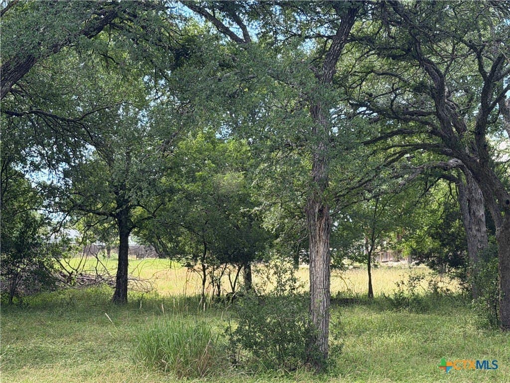 1.2 acres in Bell County - photo 9