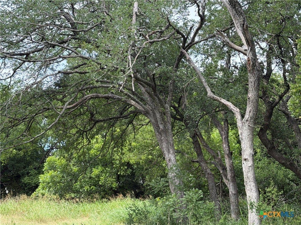 1.2 acres in Bell County - photo 8