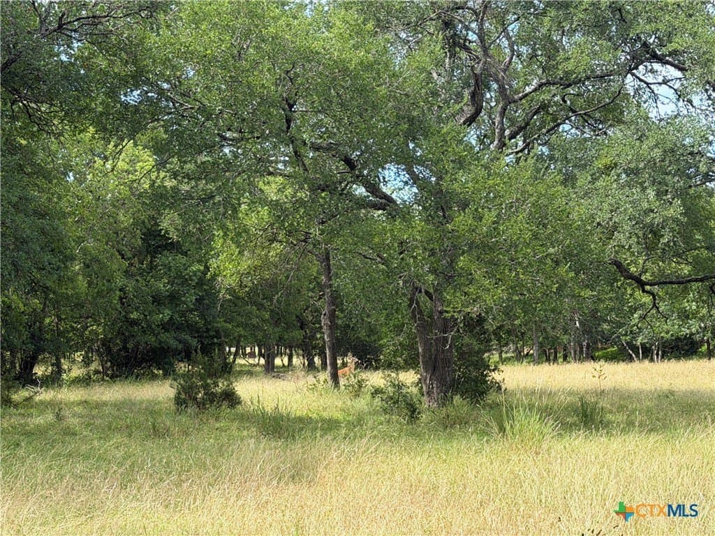 1.2 acres in Bell County gallery image 4