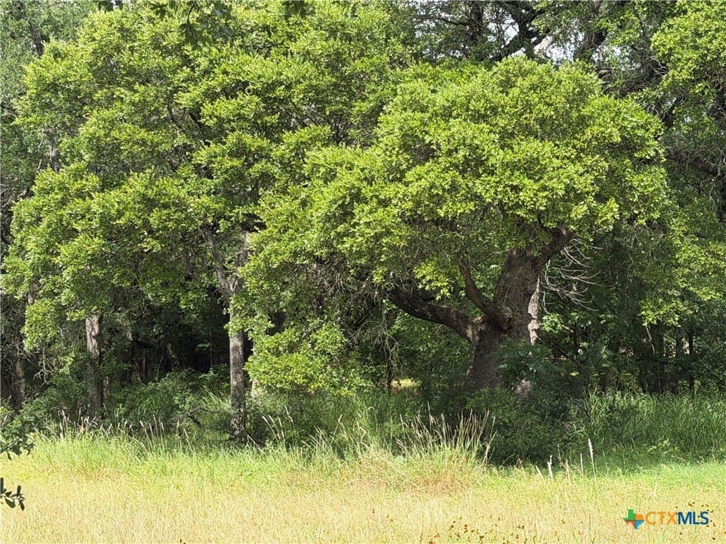 1.2 acres in Bell County gallery image 3