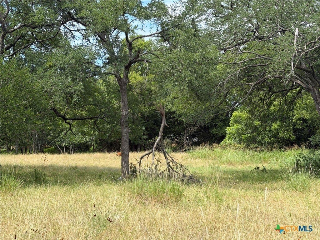 1.2 acres in Bell County featured view