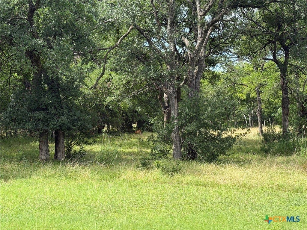 1.2 acres in Bell County gallery image 2