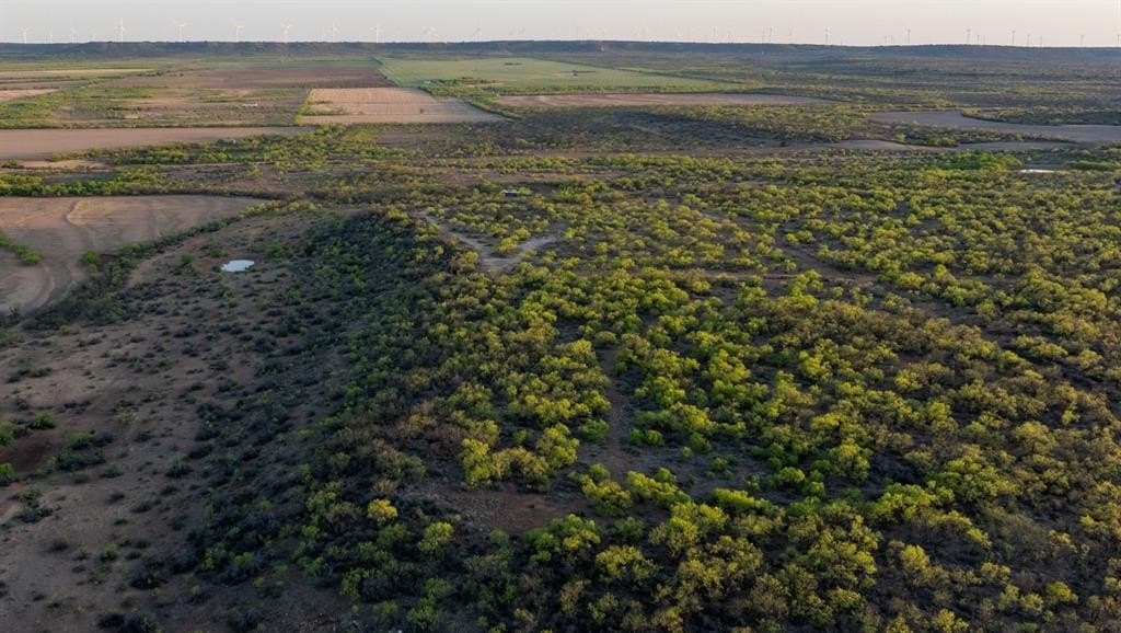 530.49 acres in McCulloch County gallery image 2