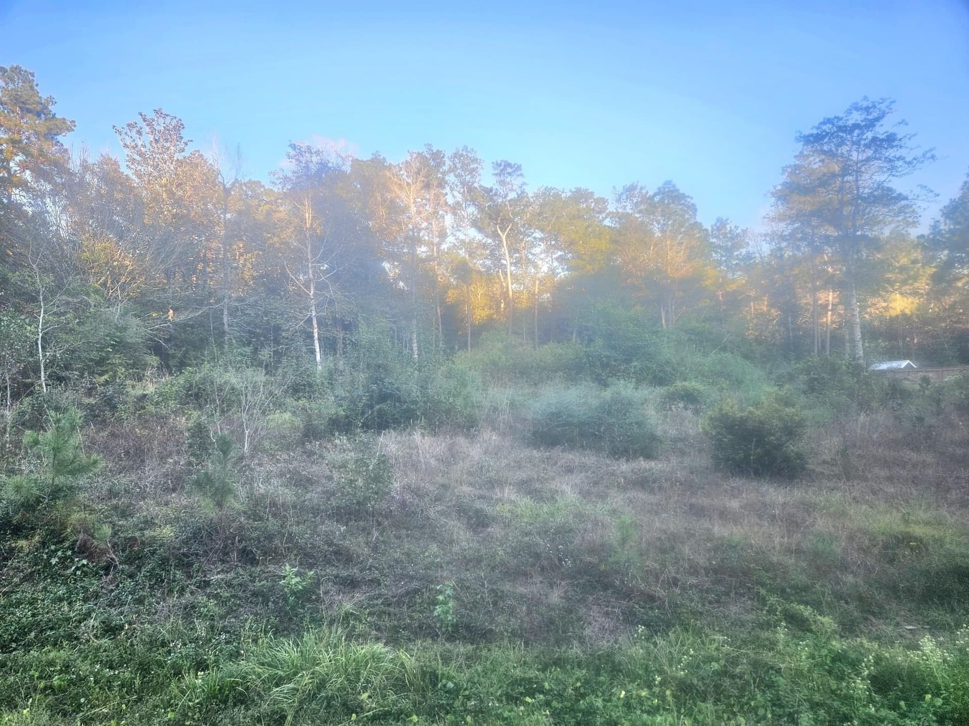 0.6 acres in Texas County gallery image 2