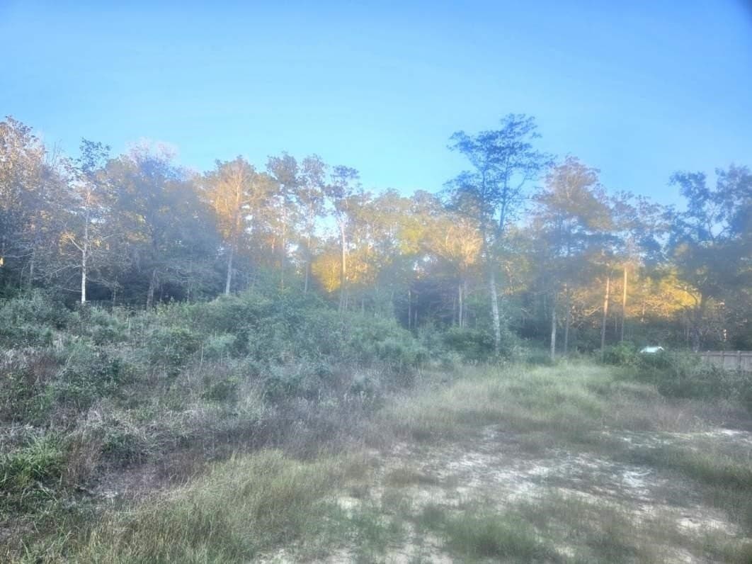 0.6 acres in Texas County