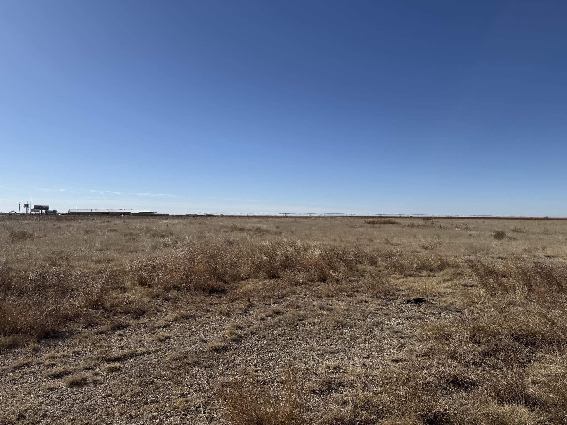 10 acres in Hale County gallery image 2