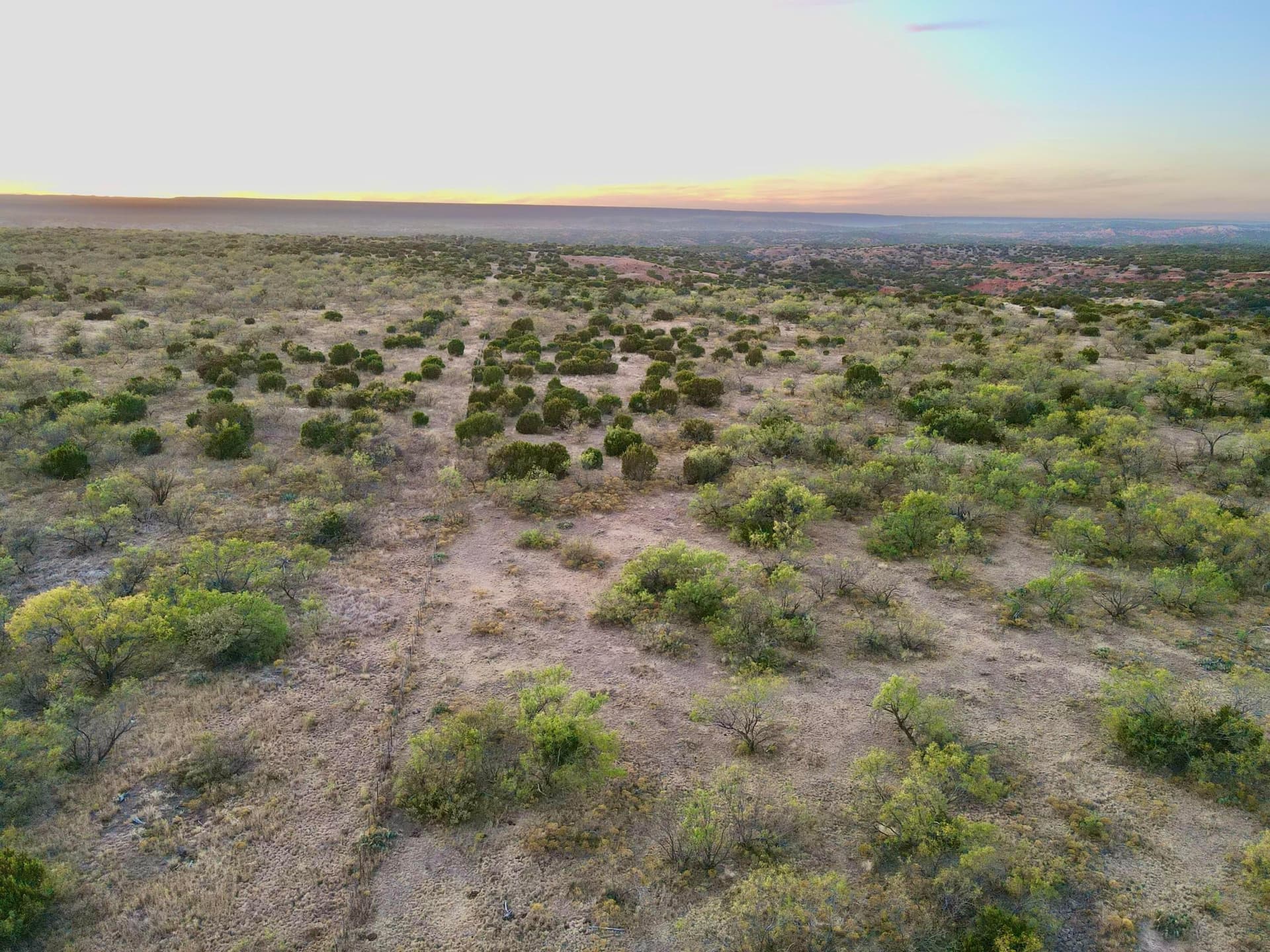 983 acres in Donley County gallery image 4