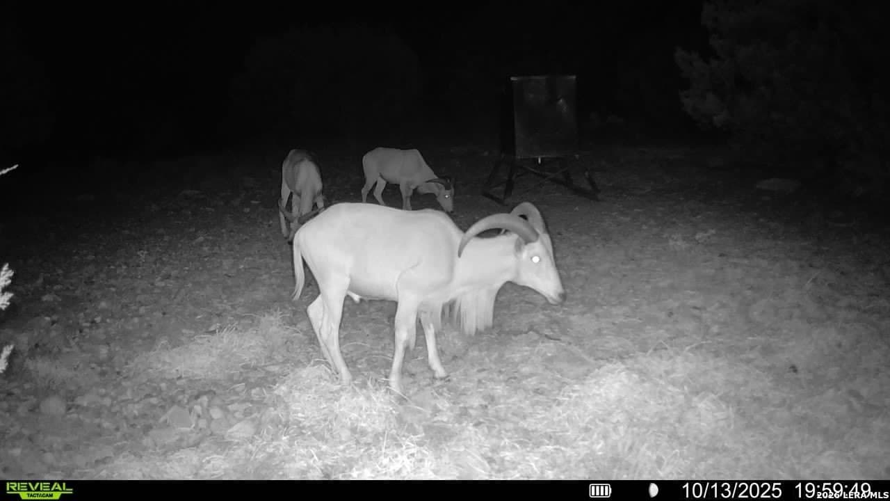 41.95 acres in Edwards County - photo 6