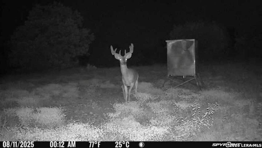 41.95 acres in Edwards County - photo 10