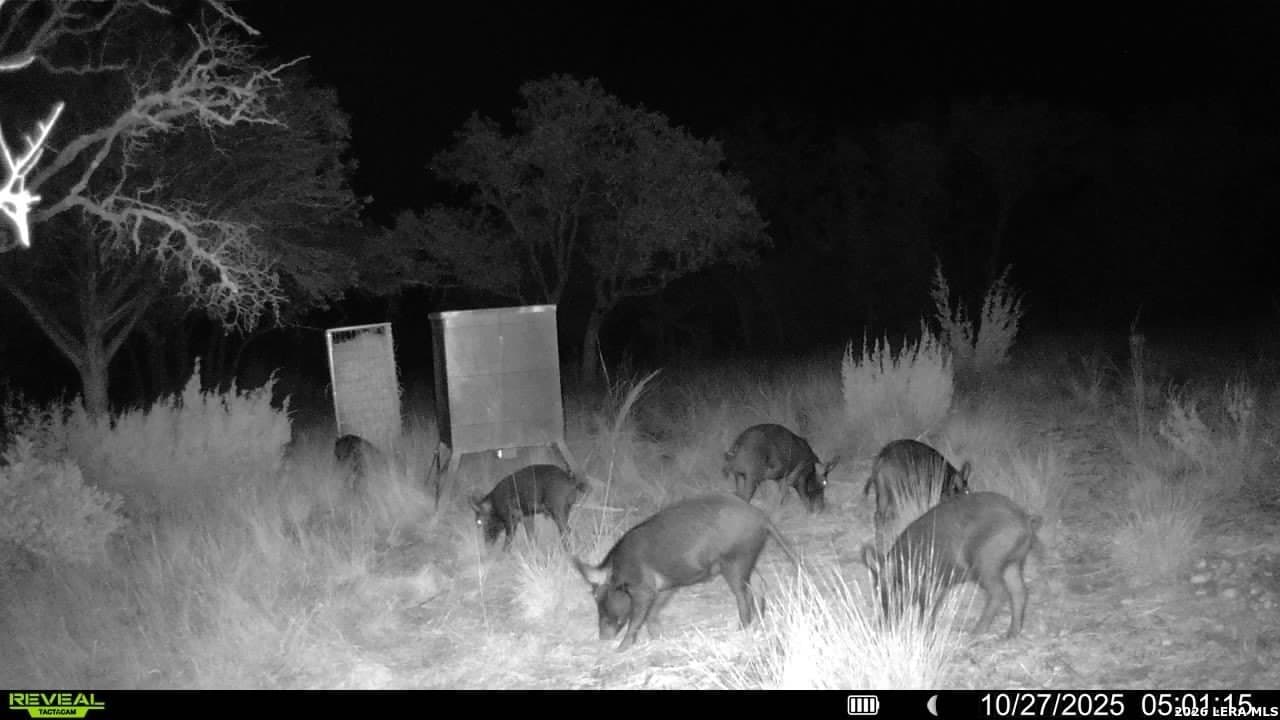 41.95 acres in Edwards County - photo 9