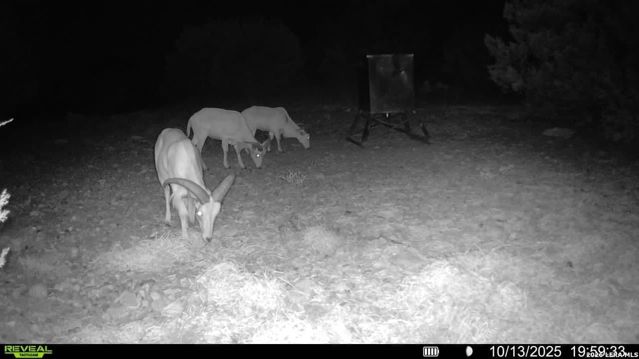 41.95 acres in Edwards County featured view