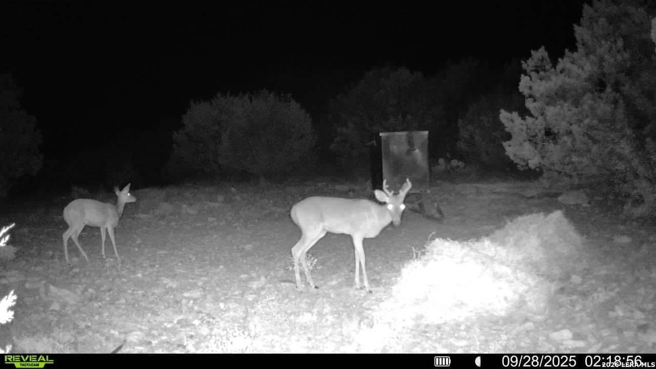 41.95 acres in Edwards County gallery image 3