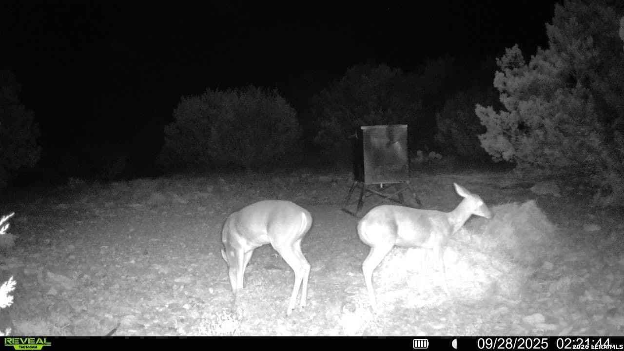 41.95 acres in Edwards County gallery image 4