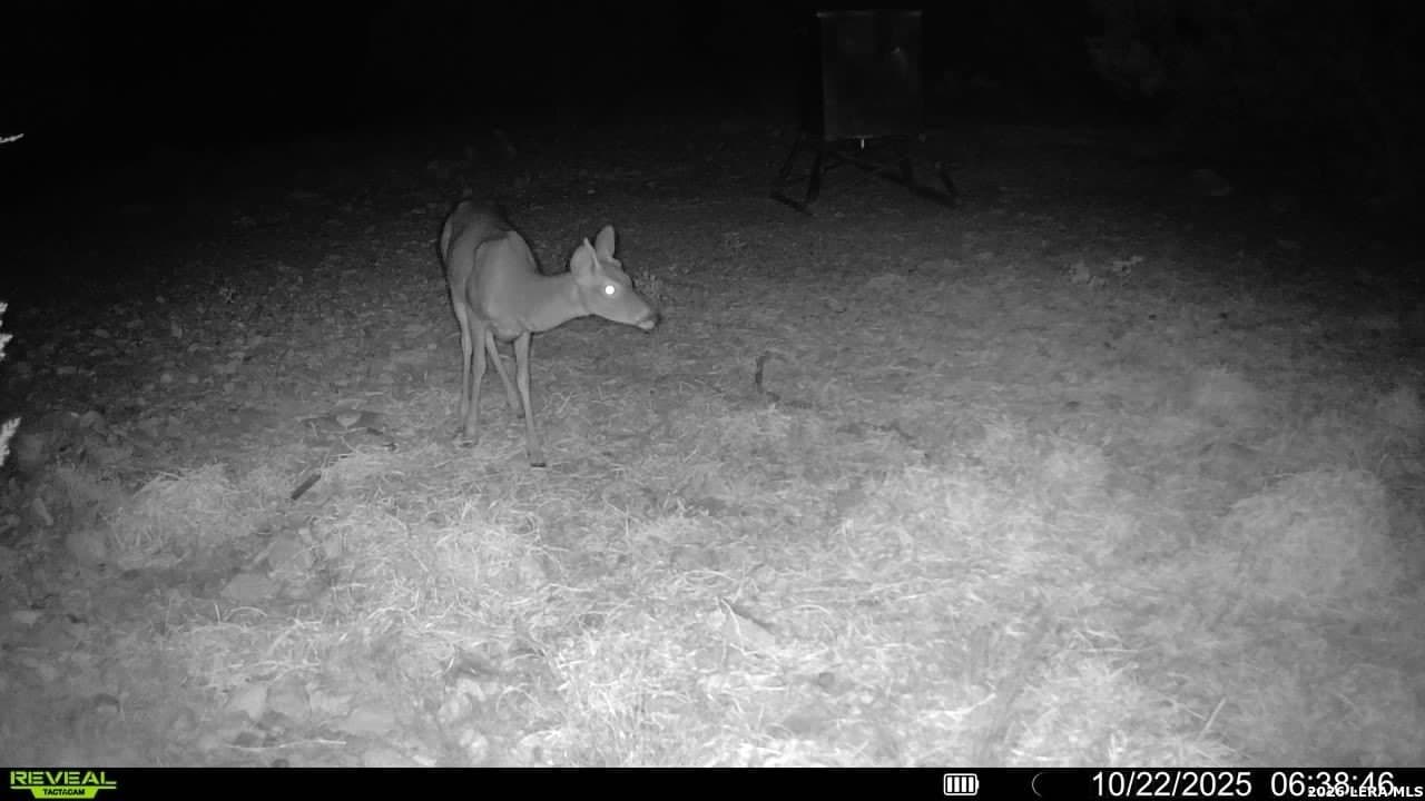 41.95 acres in Edwards County - photo 8
