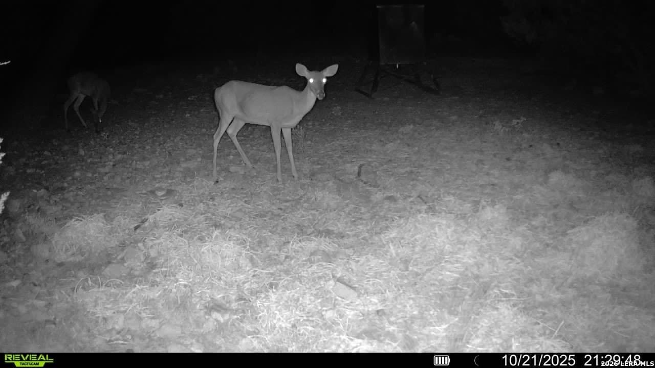 41.95 acres in Edwards County - photo 7