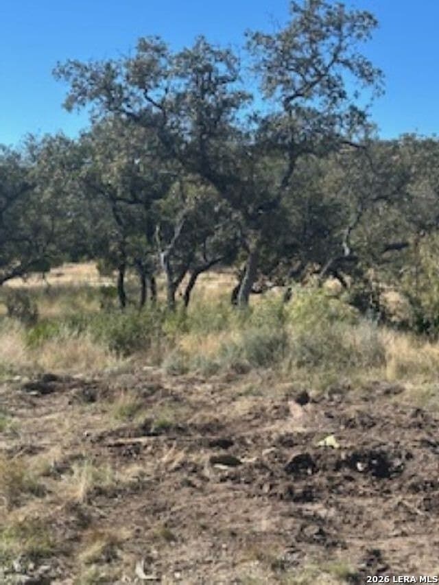 41.95 acres in Edwards County - photo 29