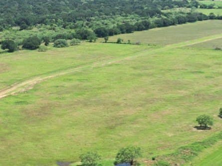 2 acres in Palo Pinto County - photo 2