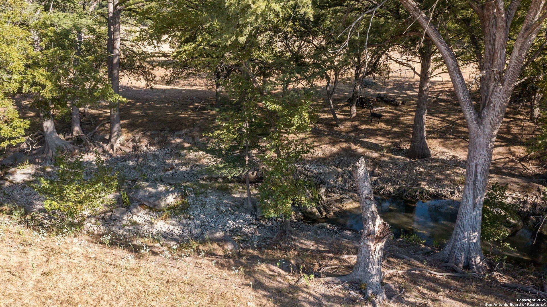 6.01 acres in Kendall County - photo 23