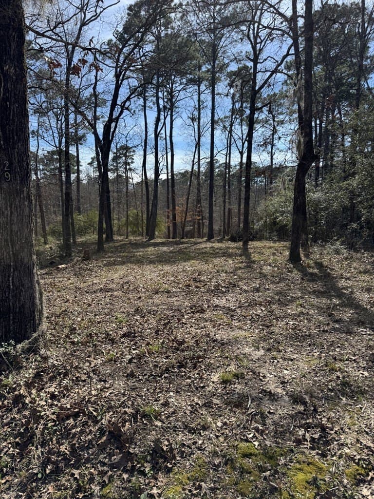 0 acres in Texas County gallery image 4