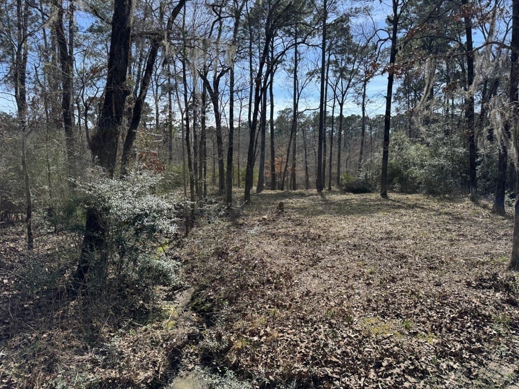 0 acres in Texas County gallery image 3