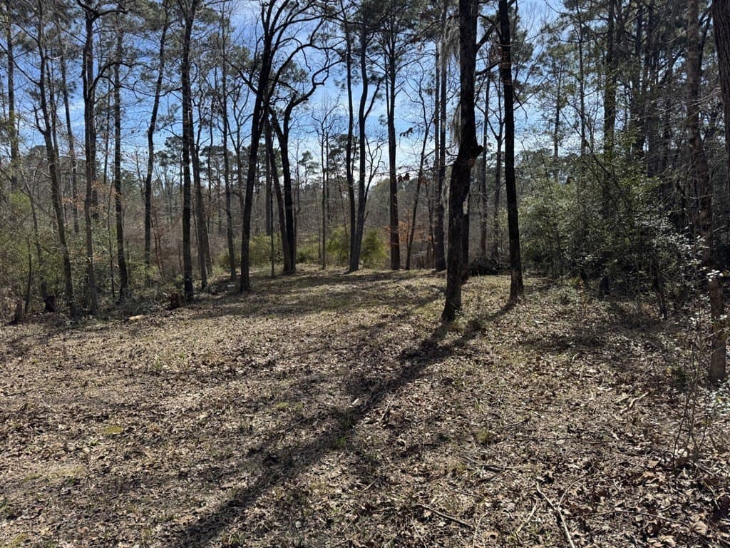 0 acres in Texas County gallery image 2