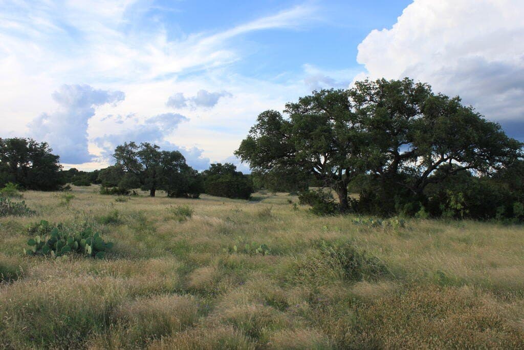 50 acres in Sutton County - photo 8