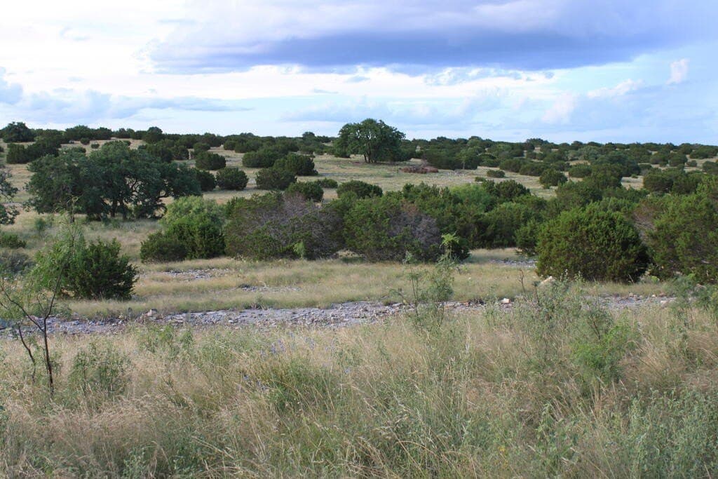 50 acres in Sutton County - photo 9