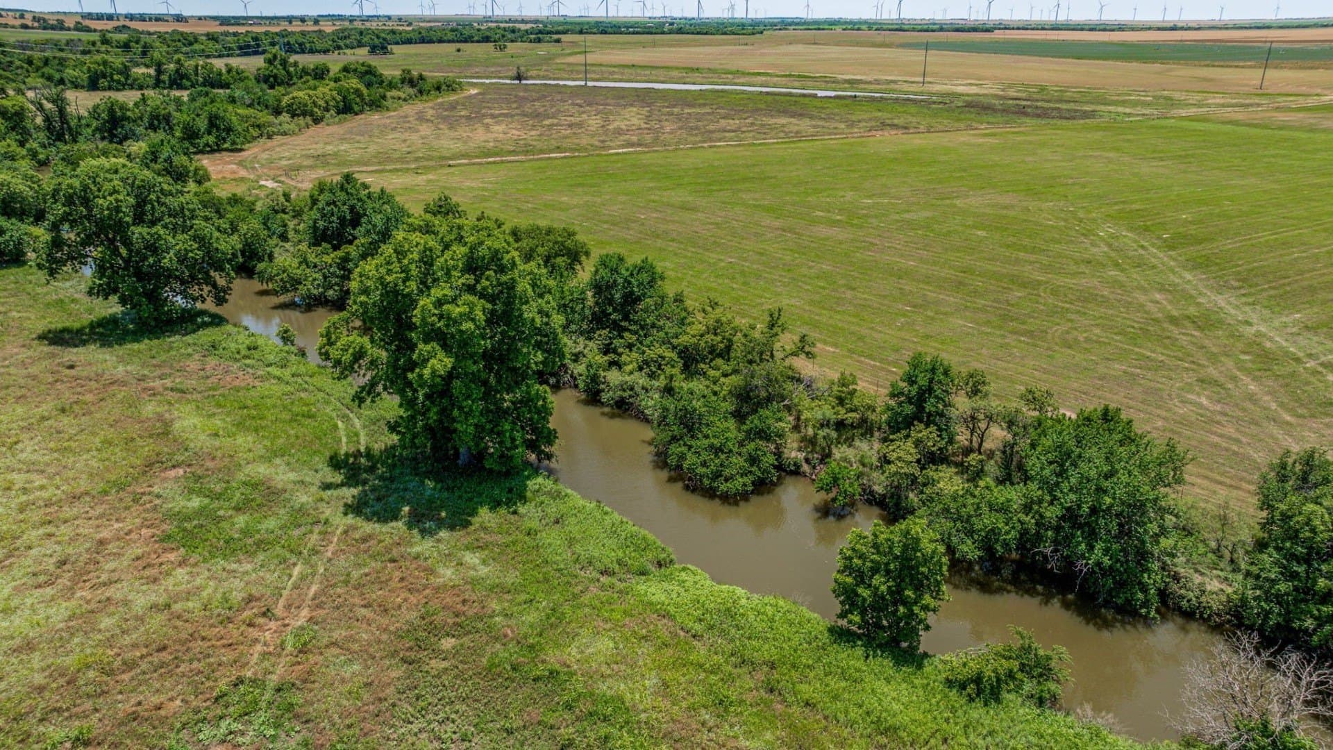 42 acres in Hardeman County - photo 6