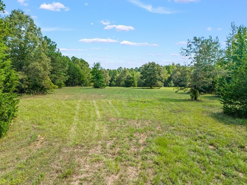 53 acres in Upshur County gallery image 4