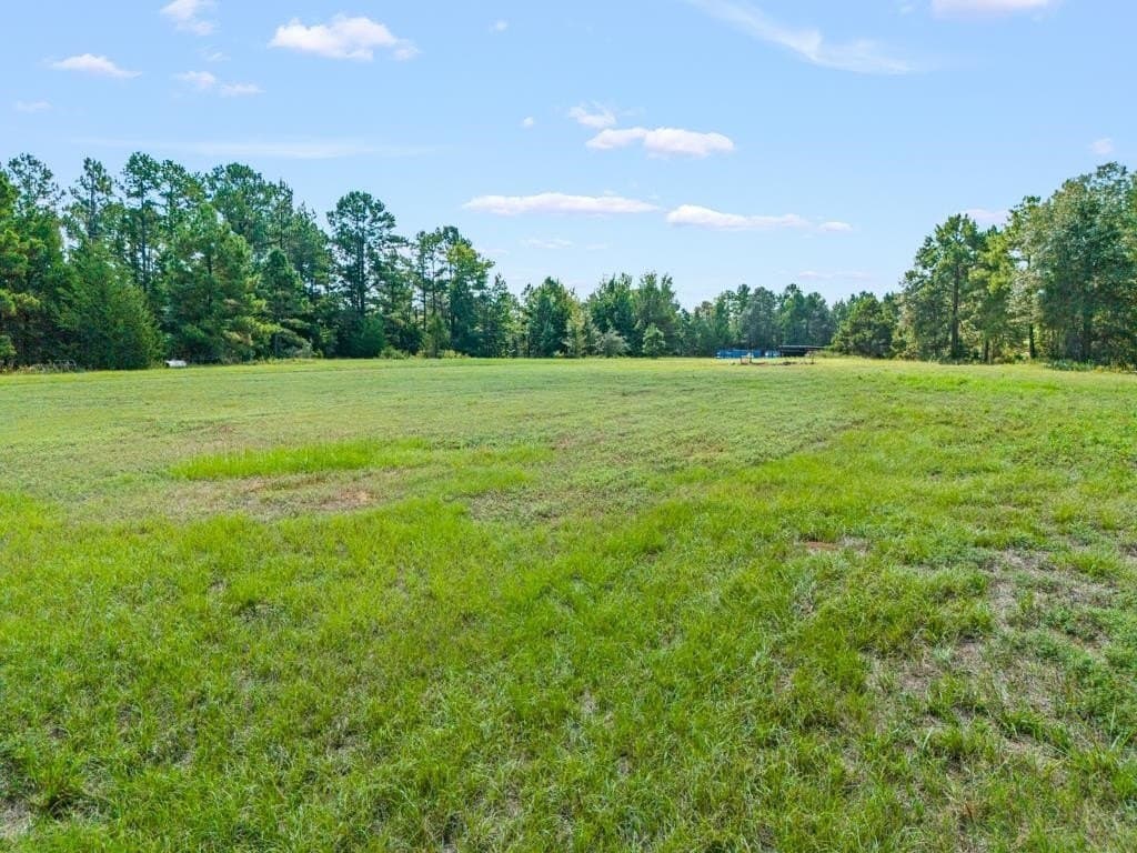53 acres in Upshur County gallery image 3