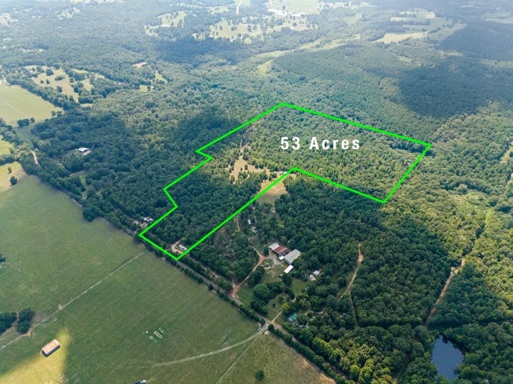 53 acres in Upshur County gallery image 2