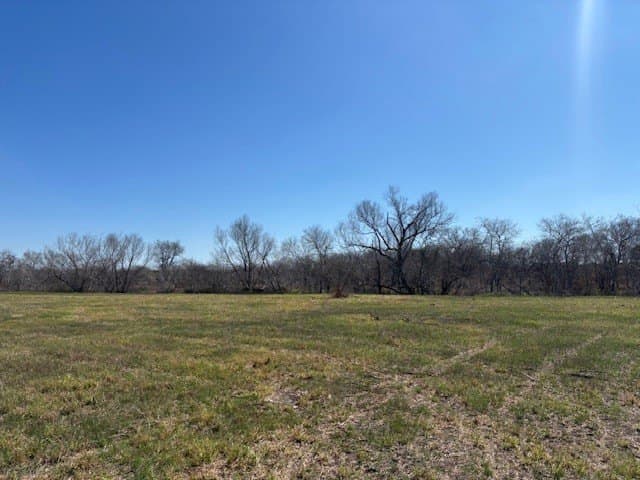2.82 acres in Live Oak County gallery image 4
