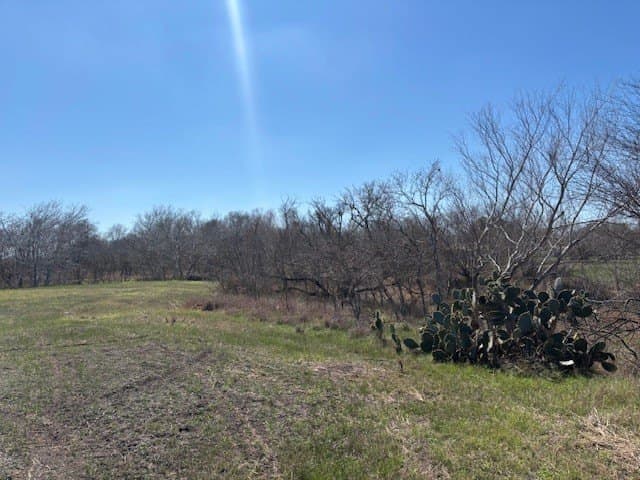 2.82 acres in Live Oak County gallery image 3