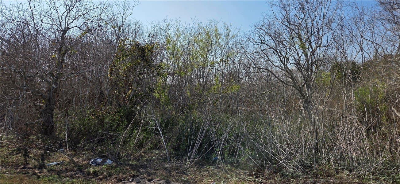 2.66 acres in Aransas County gallery image 3