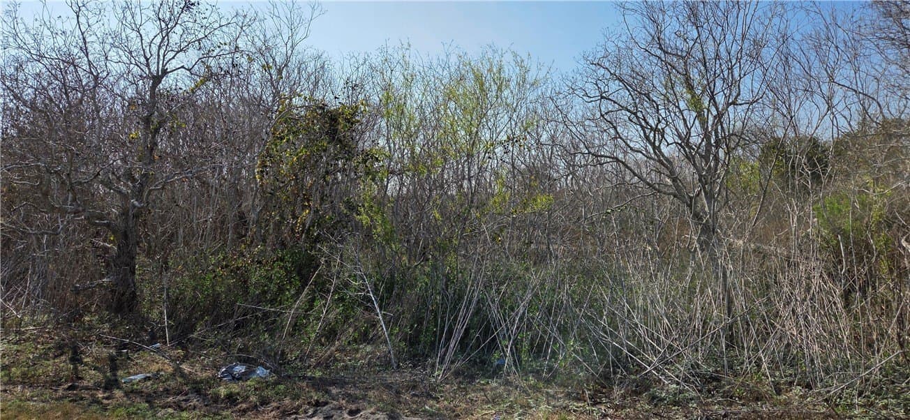 2.66 acres in Aransas County featured view