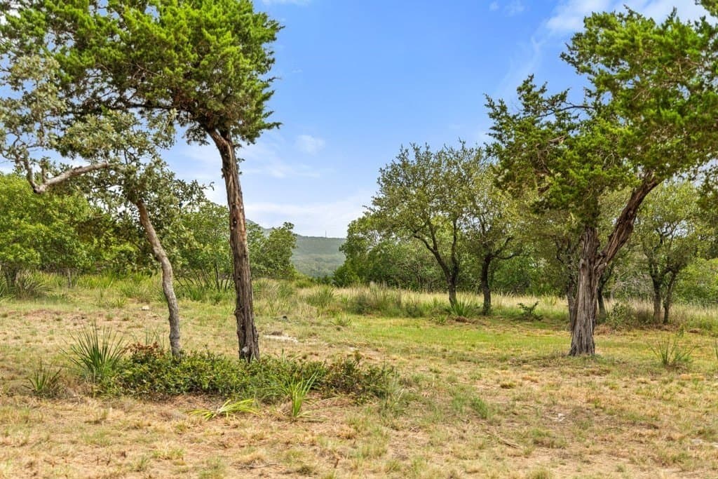 9.07 acres in Blanco County - photo 29