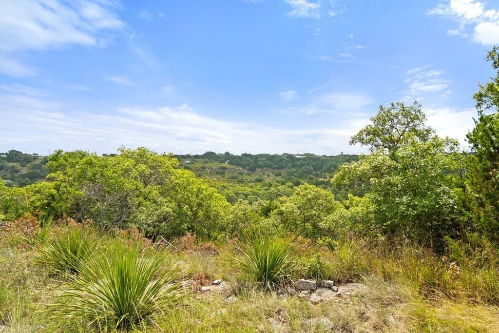 9.07 acres in Blanco County - photo 27
