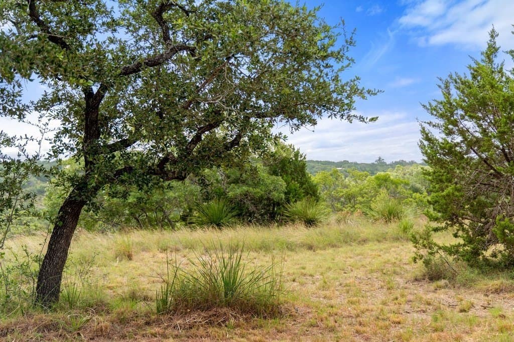 9.07 acres in Blanco County - photo 25