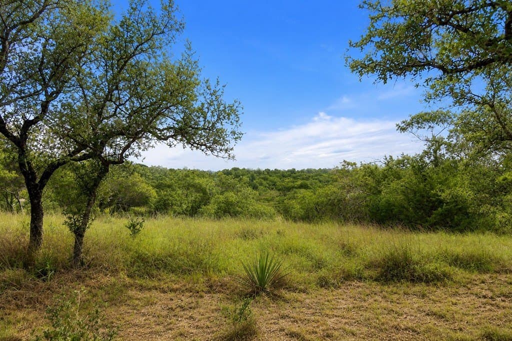 9.07 acres in Blanco County gallery image 2