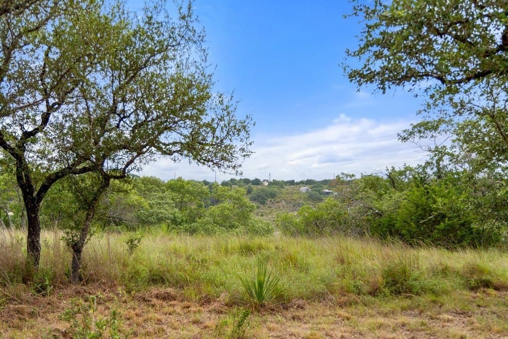 9.07 acres in Blanco County gallery image 3