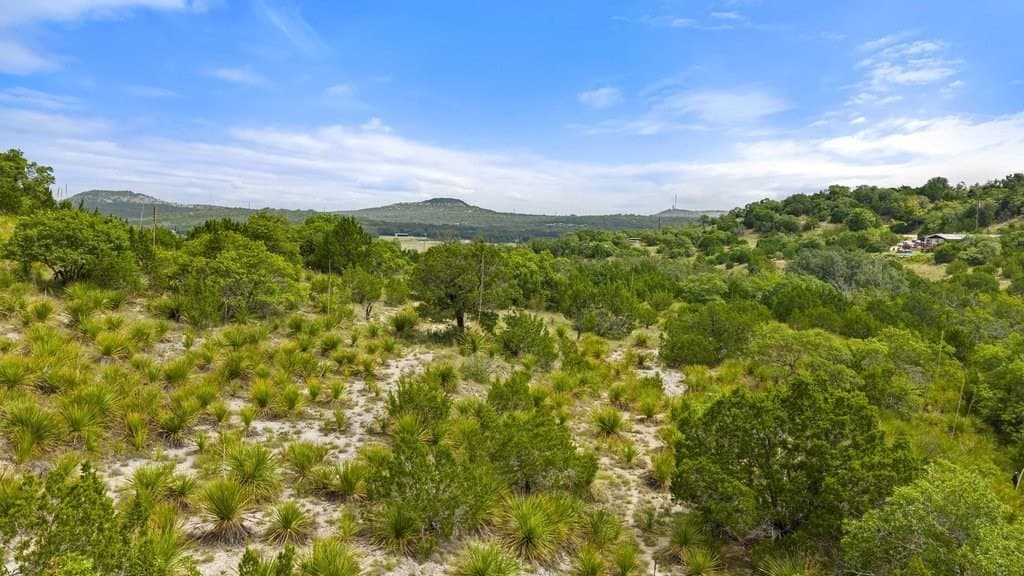 9.07 acres in Blanco County - photo 11