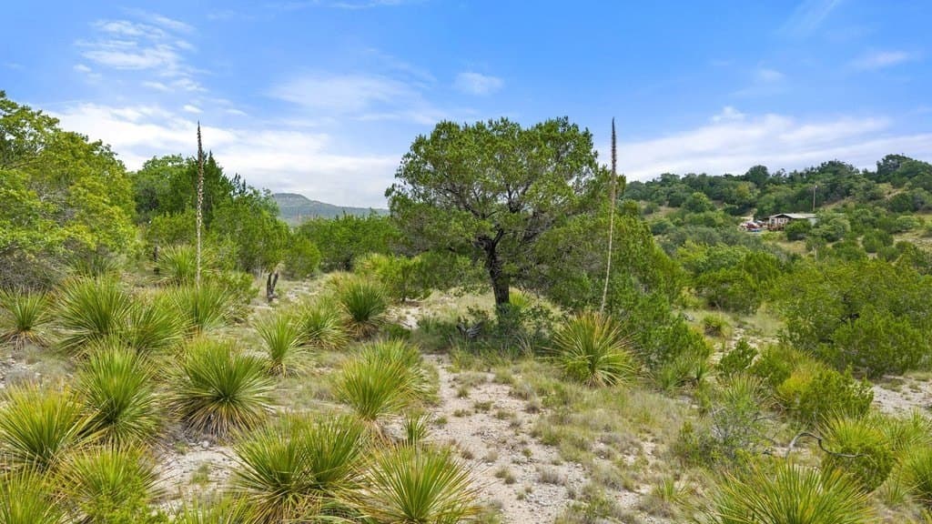 9.07 acres in Blanco County - photo 6