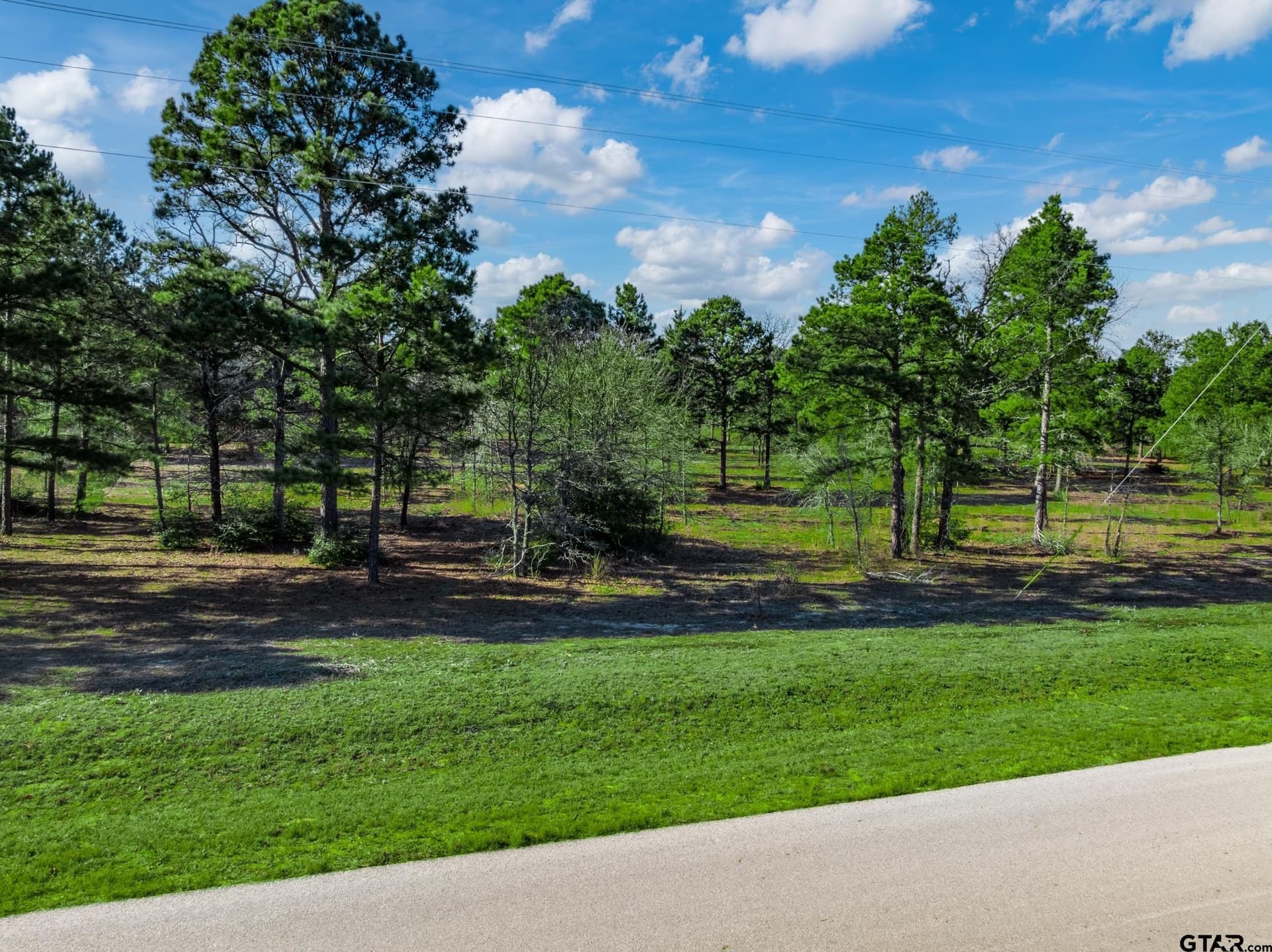 8.67 acres in Henderson County - photo 5