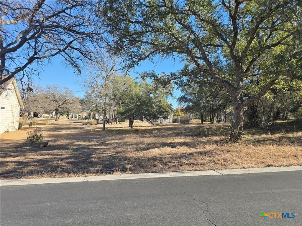 0.26 acres in Llano County gallery image 3